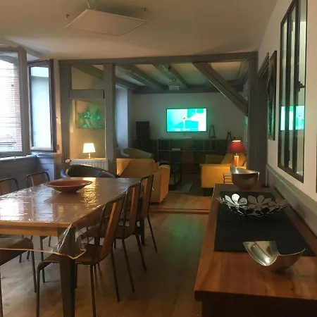 公寓 La Grenouillere 科尔马