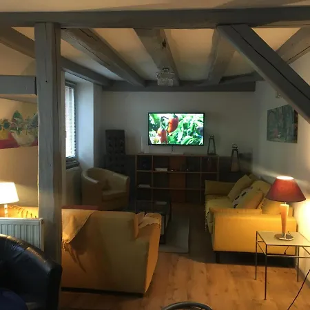 La Grenouillere アパート コルマール