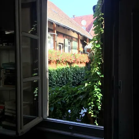 La Grenouillere コルマール