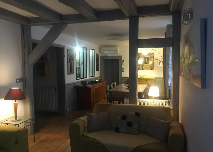 公寓 La Grenouillere 科尔马