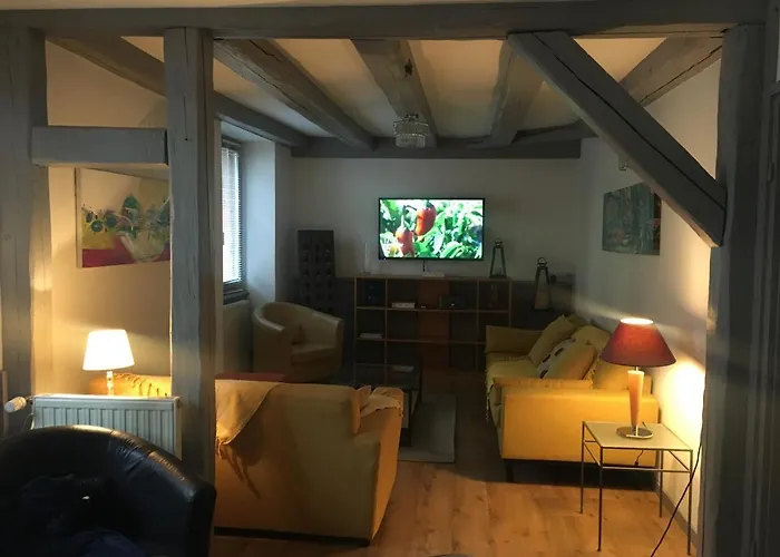 La Grenouillere 公寓 科尔马