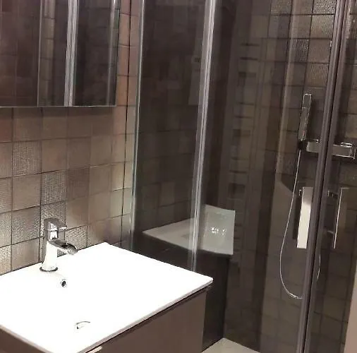 La Grenouillere 公寓 科尔马