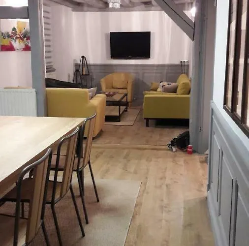 公寓 La Grenouillere 科尔马