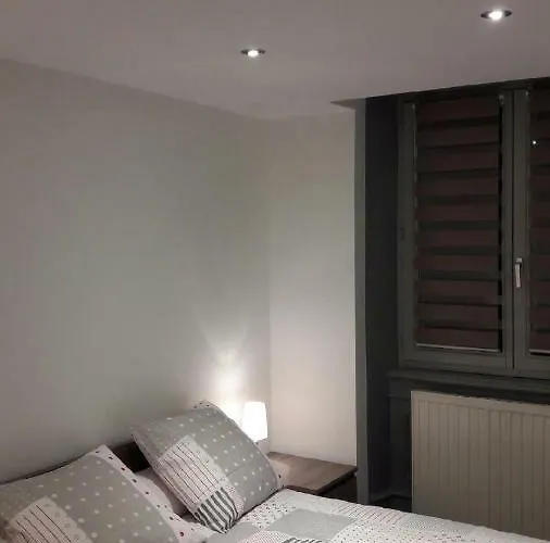 La Grenouillere 科尔马