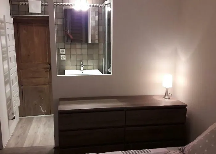 La Grenouillere * 科尔马