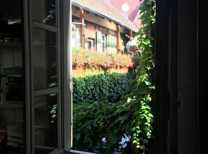 La Grenouillere 科尔马