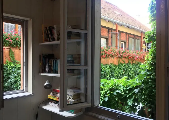 La Grenouillere 科尔马