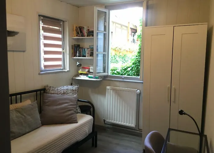 La Grenouillere 科尔马