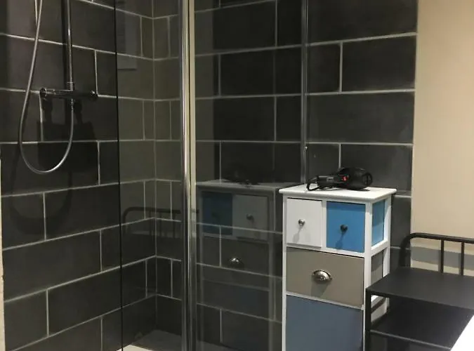 La Grenouillere 科尔马